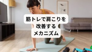 筋トレは単なる筋肉強化ではなく、肩こり改善に直結する要素を持っています。

血流改善：筋肉を動かすことで血流が促進され、老廃物が排出されやすくなる。
姿勢改善：肩甲骨周囲の筋肉を鍛えることで猫背が矯正され、肩こりの根本原因を減らす。
代謝向上：筋肉量が増えることで基礎代謝が上がり、慢性的な疲労感が軽減される。

特に「肩甲骨はがし」「僧帽筋下部の強化」「広背筋トレーニング」が肩こり筋トレの中心となります。