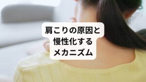 肩こりは現代人に非常に多い症状で、「鍼灸肩こり」という検索ニーズが示すように、自然療法や東洋医学的アプローチを求める人が増えています。肩こりが慢性化する背景には以下の要因があります。
長時間のデスクワークやスマホ操作:前かがみ姿勢で首や肩に負担が集中。
血流不足:筋肉が硬直し、老廃物が蓄積。
ストレス:自律神経の乱れが筋緊張を引き起こす。
運動不足:肩周りの筋肉が弱まり、負担が増加。
肩こりは単なる疲労ではなく、生活習慣や体のバランスの乱れが複合的に関わっています。