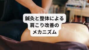 鍼灸と整体は、肩こりの原因に対して体の構造と機能の両面からアプローチします。
鍼灸:深層筋に直接アプローチし血流と神経のバランスを整える。自律神経を調整しストレス性の緊張を緩和
整体:骨格の歪みを整え、筋肉の負担を分散。関節の可動域を広げ、再発しにくい体づくりをサポート
両者を組み合わせることで、肩こりの根本原因に多面的に働きかけることが可能です。