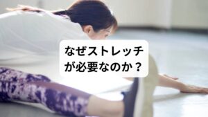 ストレッチは、筋肉や関節を柔軟に保ち、血流を促進するための基本的なセルフケアです。運動前後だけでなく、日常生活に取り入れることで肩こりや腰痛の予防、疲労回復、姿勢改善など幅広い効果が期待できます。
「ストレッチの方法」「ストレッチの効果」というテーマは、健康維持や美容、スポーツパフォーマンス向上に欠かせない重要な要素です。