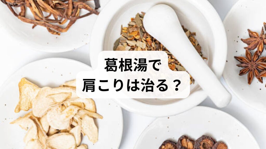 【葛根湯で肩こりは治る？】漢方と鍼灸・整体で根本改善を目指す最新ガイド