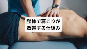 吐き気を伴う肩こりは、首肩の筋肉の緊張だけでなく、骨格の歪みや姿勢の乱れが原因となることが多いです。整体では、
背骨や肩甲骨の位置を整え、筋肉の負担を軽減
関節の可動域を広げ、首肩の動きをスムーズにする
姿勢改善により、神経や血流の圧迫を減らす
といった働きで、肩こりと吐き気の両方を改善へ導きます。