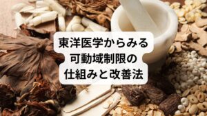 東洋医学では、可動域制限は単なる筋肉や関節の硬さではなく、経絡の滞りや臓腑の働きの乱れとして捉えます。
経絡の滞り:気血が流れる経絡が詰まると、筋肉や関節の柔軟性が失われ、動きが制限される。
肝の働きの低下:肝は「筋を主る」とされ、血流や筋肉のしなやかさに関与。肝の不調は肩や股関節の硬さにつながる。
腎の不足:腎は「骨を主る」とされ、関節や骨格の動きに影響。腎の弱りは腰や膝の可動域制限を招く。
気血水の乱れ:気の不足は動きの鈍さ、血の滞りは痛み、水の偏りはむくみや重だるさを生じる。
改善には、鍼灸で経絡の流れを整え、整体で骨格や筋膜を調整することが有効です。ツボ刺激によって血流が促され、筋肉の緊張が緩み、関節の動きがスムーズになります。さらに整体で姿勢やバランスを整えることで、可動域制限の根本改善につながります。