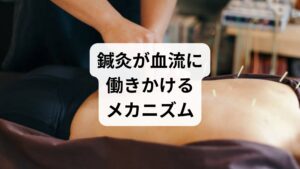鍼刺激は局所の血管拡張や炎症修復反応を促し、自律神経バランスを整えることで全身の血流改善につながります。局所改善と全身調整の両面効果が期待されます。
