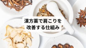 漢方薬は、症状だけでなく体質や生活習慣に合わせて処方されるのが特徴です。肩こりに対しては、以下のようなタイプ別アプローチが取られます。
気滞タイプ:ストレスや緊張で気の流れが滞る
瘀血タイプ:血流が悪く、肩が重く痛む
痰湿タイプ:水分代謝が悪く、むくみや重だるさがある
気血両虚タイプ:疲れやすく、冷えや貧血傾向がある
これらのタイプに応じて、漢方薬を選ぶことで、肩こりだけでなく全身の不調も改善される可能性があります。