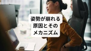姿勢の乱れは複数の要因が絡み合って生じます。
筋肉のアンバランス:胸の筋肉が縮み、背中の筋肉が弱まることで猫背に。
生活習慣:長時間の座位、運動不足、睡眠不足が姿勢を悪化させる。
心理的要因:ストレスや緊張により肩がすくみ、呼吸が浅くなる。
加齢:筋力低下や骨格の変化で姿勢が崩れやすくなる。
これらを理解することが、正しい「姿勢矯正の方法」を選ぶための第一歩です。
