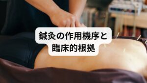 鍼は深層筋へ直接刺激を与え血流を促進し、自律神経バランスを整えることで疼痛が軽減する報告が複数あります。