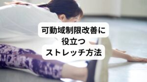 「可動域制限のストレッチ」は、筋肉や関節の柔軟性を高めるために有効です。
肩回しストレッチ:肩甲骨周囲の筋肉をほぐし、腕の挙上をスムーズに。
股関節ストレッチ:前屈や開脚で股関節の柔軟性を高める。
膝伸展ストレッチ:太ももの前後を伸ばし、膝の動きを改善。
腰ひねりストレッチ:腰椎の可動域を広げ、腰痛予防に効果的。
全身ストレッチ:背伸びや深呼吸を組み合わせ、全身の血流を促進。
ストレッチは「可動域制限の改善と方法」として即効性があり、継続することで「可動域制限 効果」を実感できます。