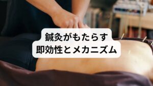 鍼灸はツボ刺激で血流と自律神経を整え、脳へのエネルギー供給を改善することで集中の持続時間を延ばす効果が期待されます。臨床では体質に合わせたツボ選定が重要です。