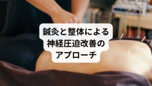 セルフケアだけでは限界がある場合、鍼灸と整体が有効です。

鍼灸の作用：ツボを刺激することで血流を改善し、筋肉の緊張を緩める。特に「肩井」「腰兪」などのツボは神経圧迫の軽減に効果的。
整体の作用：骨格や関節の歪みを整え、神経への圧迫を減らす。
相乗効果：鍼灸で自律神経を整え、整体で物理的なバランスを回復することで、改善効果が持続。

「神経圧迫の改善」に悩む人にとって、鍼灸と整体は根本的な解決策となります。