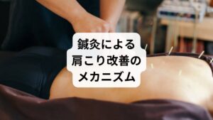鍼灸は、東洋医学に基づく自然療法であり、肩こりに対して以下のような作用があります:
深層筋の緊張緩和:鍼が筋膜やトリガーポイントに直接作用
血流改善:患部の循環を促進し、老廃物の排出を促す
神経系への調整:痛みの伝達を抑え、エンドルフィンの分泌を促す
自律神経の安定化:ストレス性肩こりにも対応可能
代表的なツボには、**肩井(けんせい)、天柱(てんちゅう)、風池(ふうち)**などがあり、慢性・急性どちらの肩こりにも適応できます。
