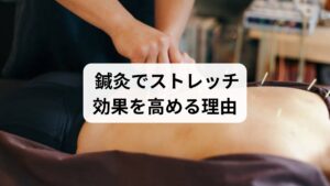 ストレッチだけでは届かない深部の筋肉や自律神経に働きかけるのが鍼灸です。

筋肉の緊張緩和：鍼刺激で硬直した筋肉が緩み、ストレッチ効果が高まる。
血流促進：鍼灸による血管拡張でストレッチ後の回復が早まる。
自律神経の安定化：ストレスによる筋緊張を和らげ、リラックス効果を強化。
痛みの軽減：肩こりや腰痛が改善され、ストレッチがより快適に行える。

「ストレッチの効果」を最大化するために、鍼灸を併用することは非常に有効です。