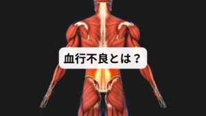 血行不良とは、血液の流れが滞り、酸素や栄養が全身に十分に行き渡らない状態を指します。手足の冷え、肩こり、頭痛、疲労感、肌荒れなど、日常生活に直結する不調を引き起こします。慢性的な血行不良は、動脈硬化や生活習慣病のリスクを高めるため、早期の「血行不良の改善」が重要です。