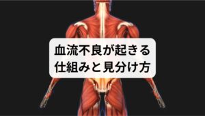 血流不良は局所的な血管収縮、筋ポンプ機能の低下、姿勢不良、自律神経の乱れ、生活習慣（運動不足・偏食・睡眠不足）などが複合して起きます。症状としては冷え・手足のしびれ・むくみ・慢性疲労・肩こりが現れやすく、日常生活でのチェックポイント（朝の手足の冷たさ、夕方のむくみ、入浴での温まりにくさ）で早期発見が可能です。