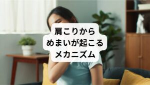 肩こりは単なる筋肉の緊張だけでなく、血流や神経の働きに影響を与えます。特に首から肩にかけての筋肉が硬直すると、脳へ血液を送る椎骨動脈や頸動脈の流れが滞りやすくなります。その結果、脳への酸素供給が不十分になり「肩こりからのめまい」が生じることがあります。
さらに、肩こりは自律神経の乱れとも深く関係しています。ストレスや長時間のデスクワークによって交感神経が優位になると、血管が収縮し血流が悪化します。これがめまい、頭痛、耳鳴りなどの症状を引き起こす要因となります。
