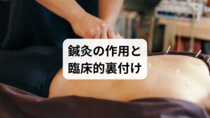 鍼灸はツボ刺激で局所血流を促進し、副交感神経を優位に導くことで睡眠の質や頭部の緊張を改善する効果が期待されます。実践院の症例報告でも脳疲労改善の手応えが示されています。