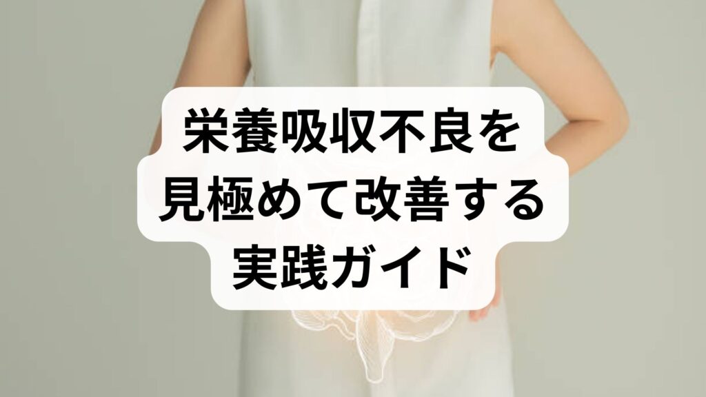 臨床監修｜栄養吸収不良を見極めて改善する実践ガイド — 栄養吸収改善のための具体策
