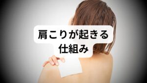 肩こりは単なる筋肉の疲れではなく、姿勢不良・筋力アンバランス・長時間同一姿勢・眼精疲労・ストレス・睡眠不足が複合して起きます。まずは危険サイン（急激な痛み、手のしびれ、筋力低下）を除外し、日常で変えられる要因（姿勢・休憩・運動）から優先的に対処します。評価は簡単な可動域と触診、生活習慣の聞き取りで十分に方向性が決まります。