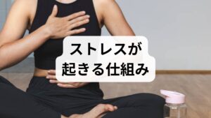 ストレスは自律神経の過緊張、睡眠不足、栄養・運動不足、認知の偏りが重なって生じます。優先すべきは(1)呼吸と睡眠の安定、(2)短時間で効く行動(運動・感覚切替)、(3)認知の整理です。まずは「小さな変化」を積み重ねることが最も効果的です。