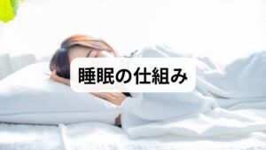 睡眠は**体内時計（概日リズム）と睡眠圧（覚醒時間に応じた眠気）**の2つで制御されます。朝の光曝露や就寝前の行動がメラトニン分泌や深部体温に影響し、入眠・深睡眠の量を左右します。これらを理解すると、対策の優先順位が明確になります。