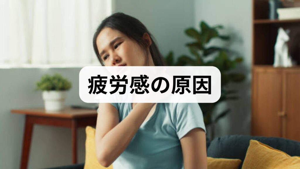 臨床監修｜疲労感の原因と今日からできる改善法：専門家が教える実践プラン